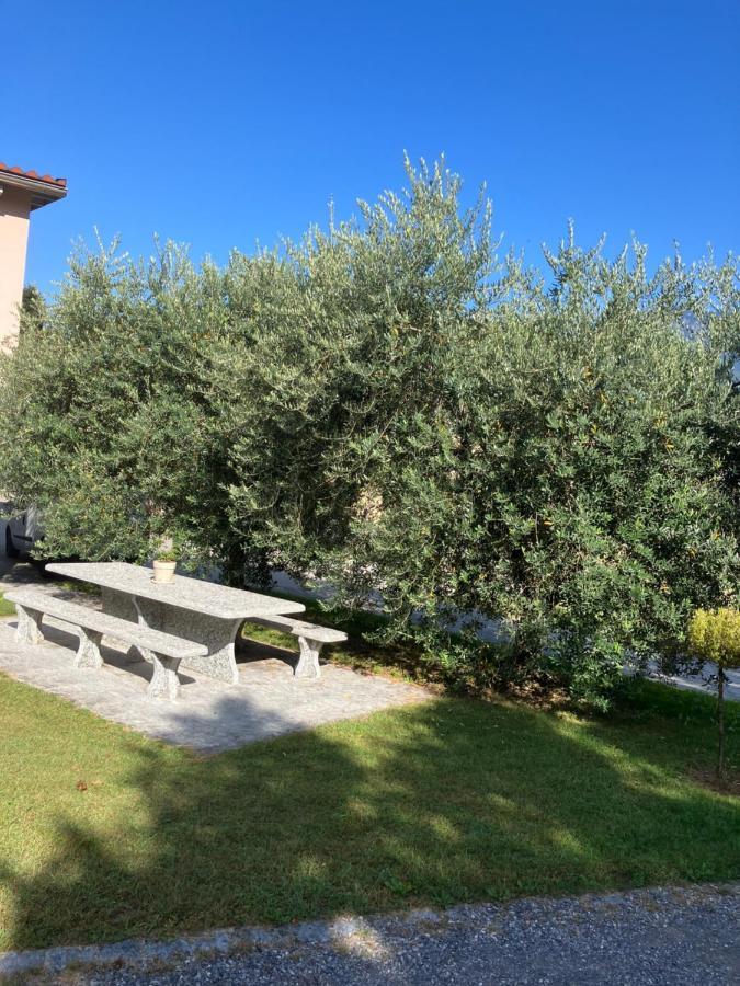 Residenza Giovanni Contone Eksteriør bilde